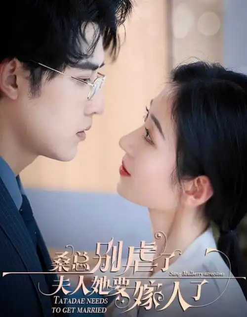 八戒八戒全集观看