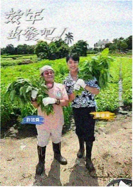 奔跑吧兄弟 热门综艺